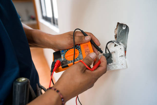 Best Electric Panel Repair  in Fuller Heights, FL